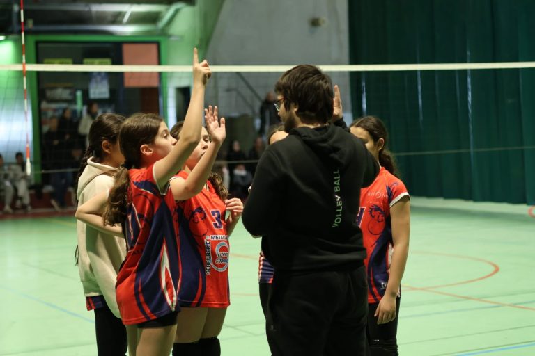 49502cf0-43de-4797-82cc-a4186421ff6e